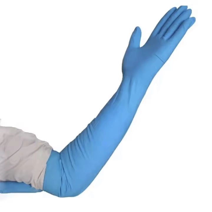 Gynecological Gloves image 3